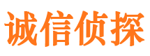 阿里诚信私家侦探公司